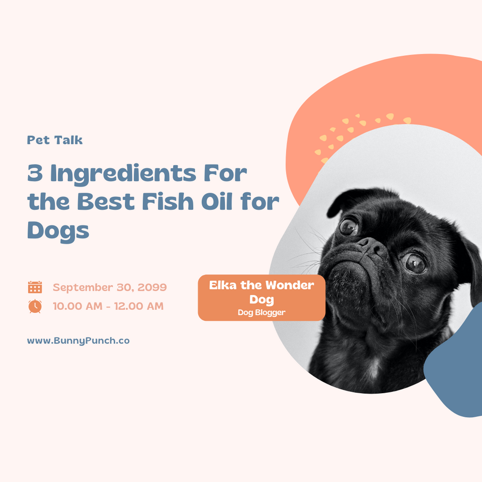 3 Ingredients For the Best Fish Oil for Dogs