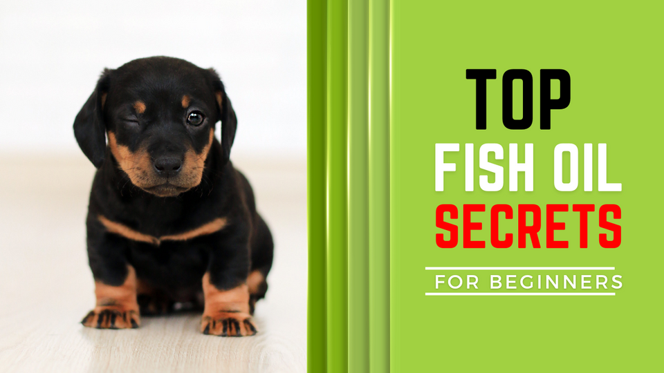 Fish Oil for Dogs - Better Health for your Dog. Fish Oil, Omega3. The Miracle in Salmon Oil.