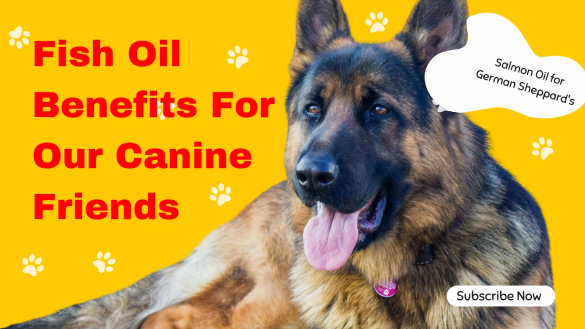 Fish Oil Benefits For Our Canine Friends.... Fish Oil for Dogs....Salmon Oil for Dog Benefits.......