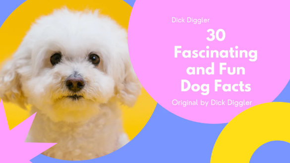 30 Fascinating and Fun Dog Facts.