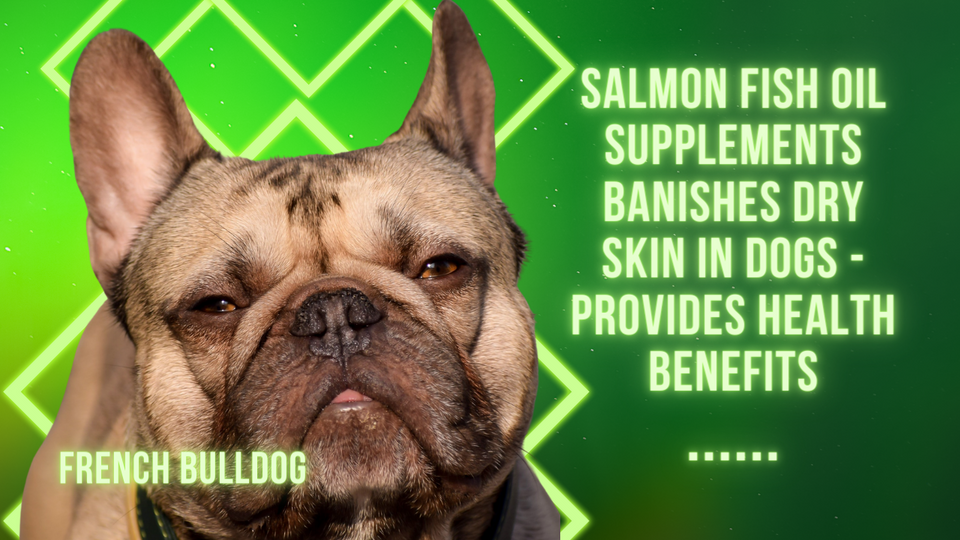 Salmon Fish Oil Supplements Banishes Dry Skin in Dogs - Provides Health Benefits. Salmon for Dogs.