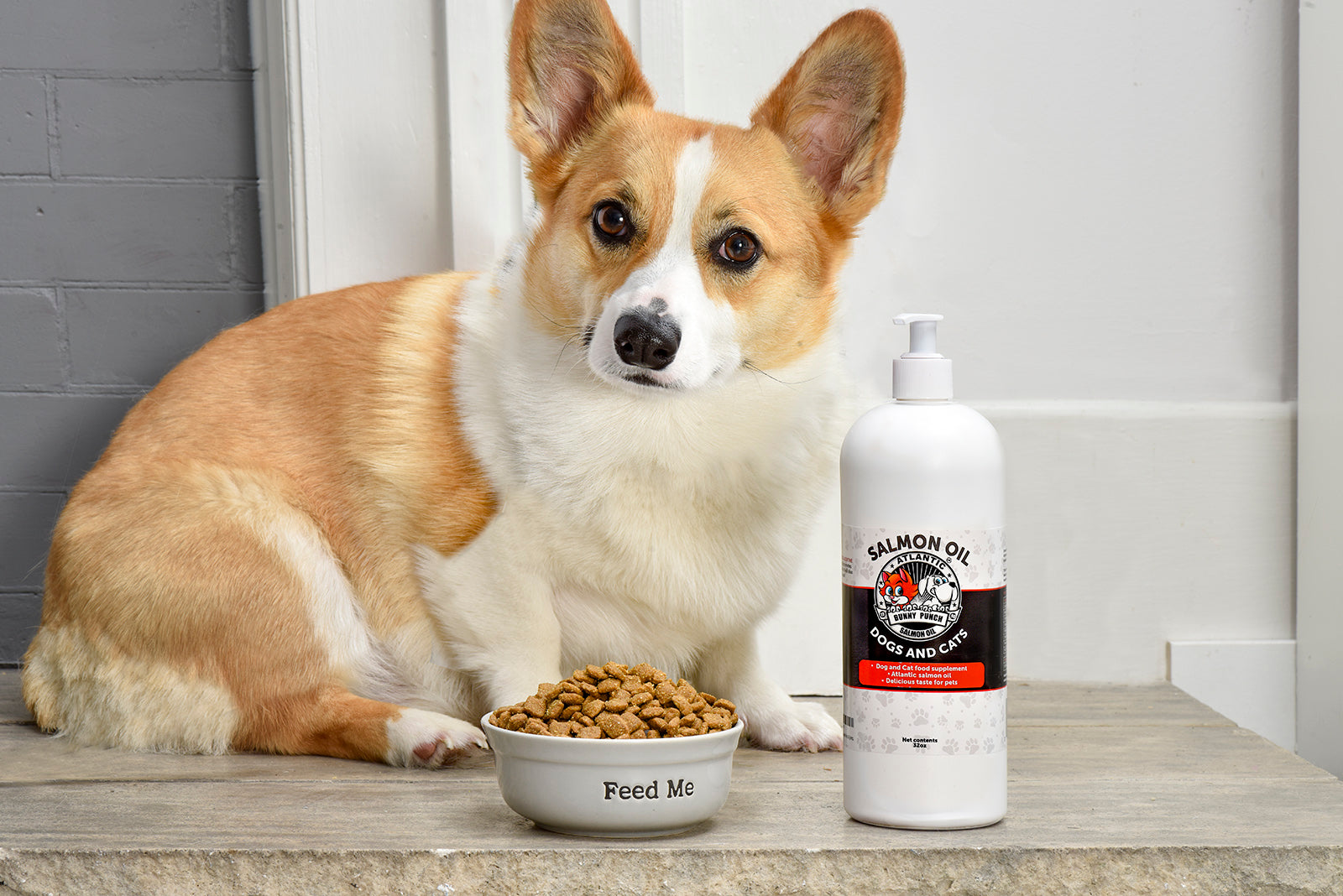 Bunny Punch Salmon Oil For Dogs And Cats